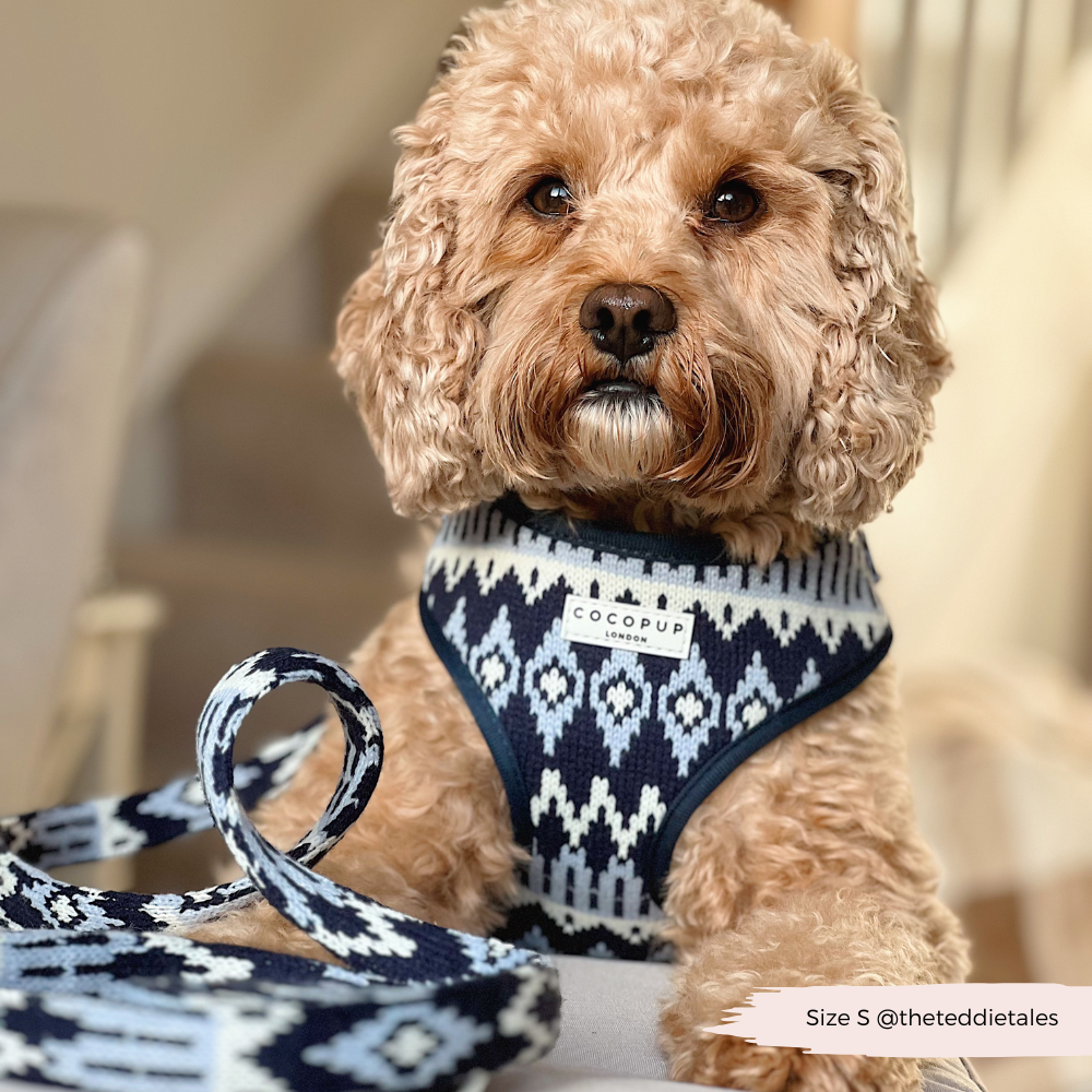 Arnés ajustable para perros Chalet Pup