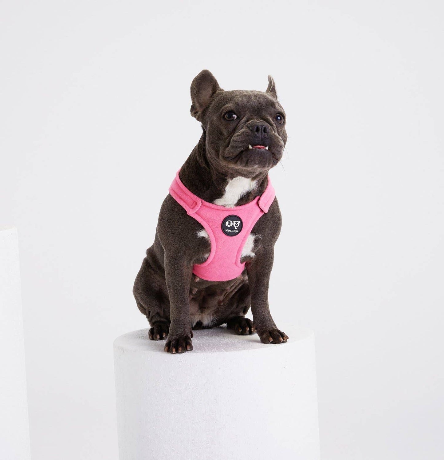 Arnés Bonbon de Moshiqa