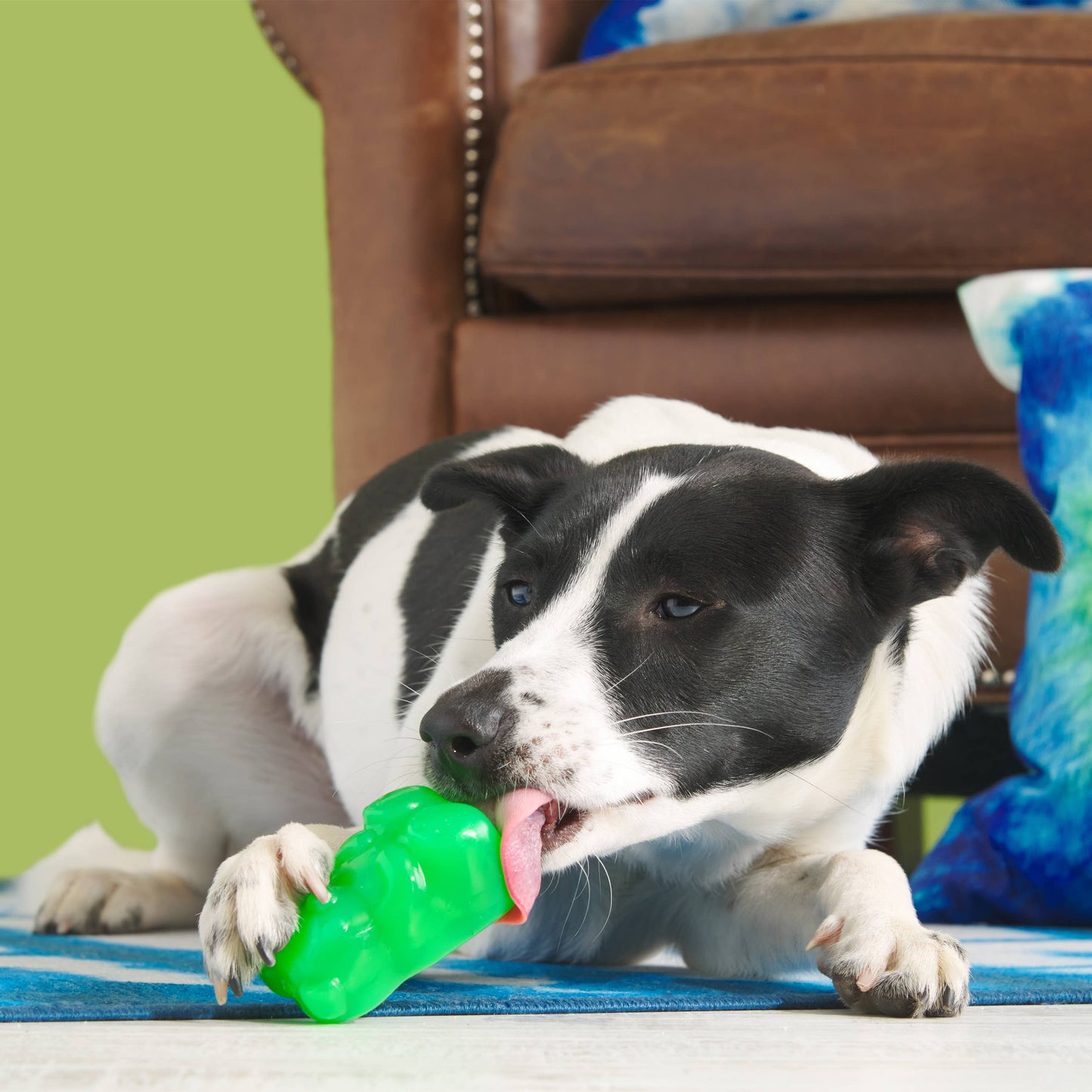 Super Chewer Munchie The Bear Dog Chew Toy S