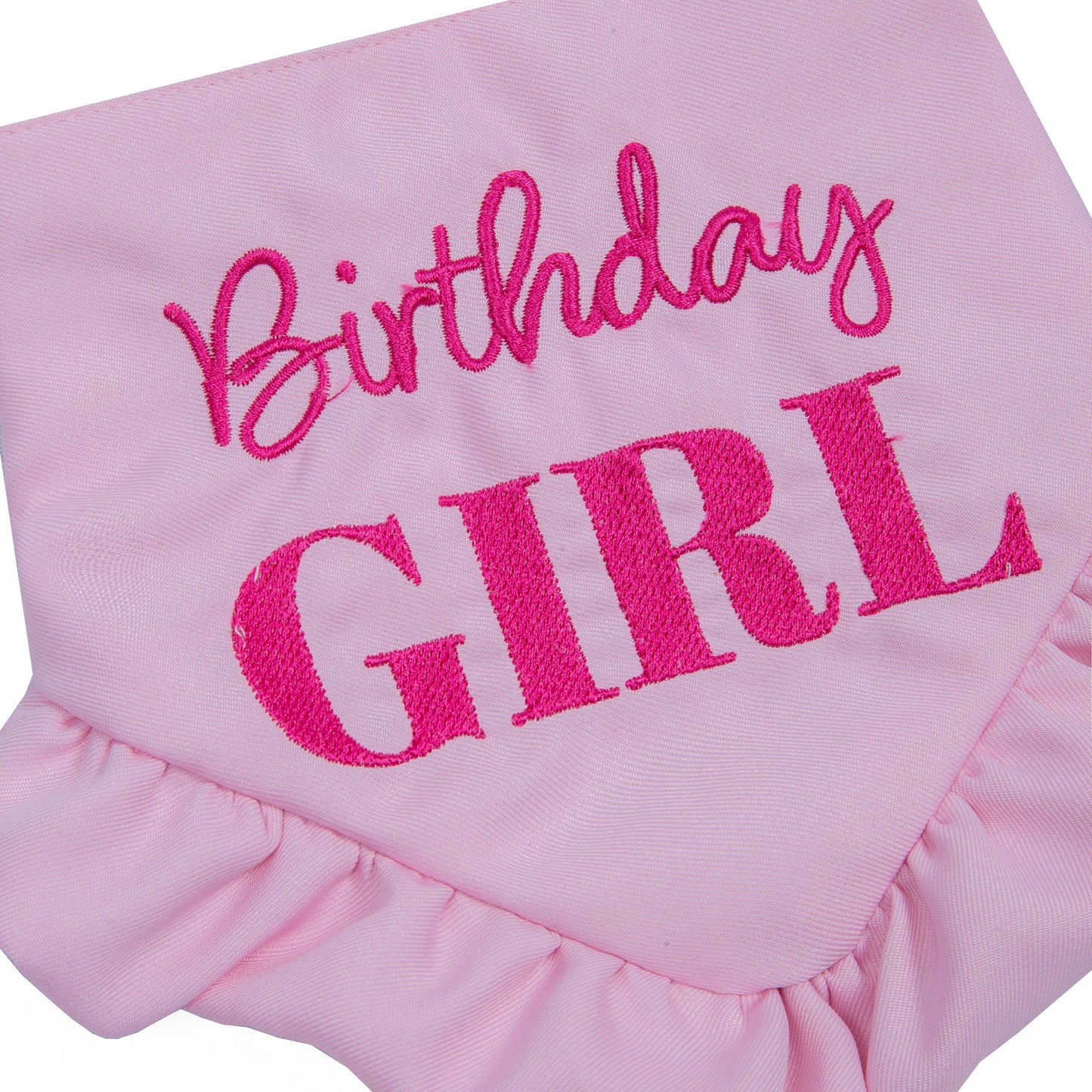 Dog Bandana Birthday Girl Skirt Pink
