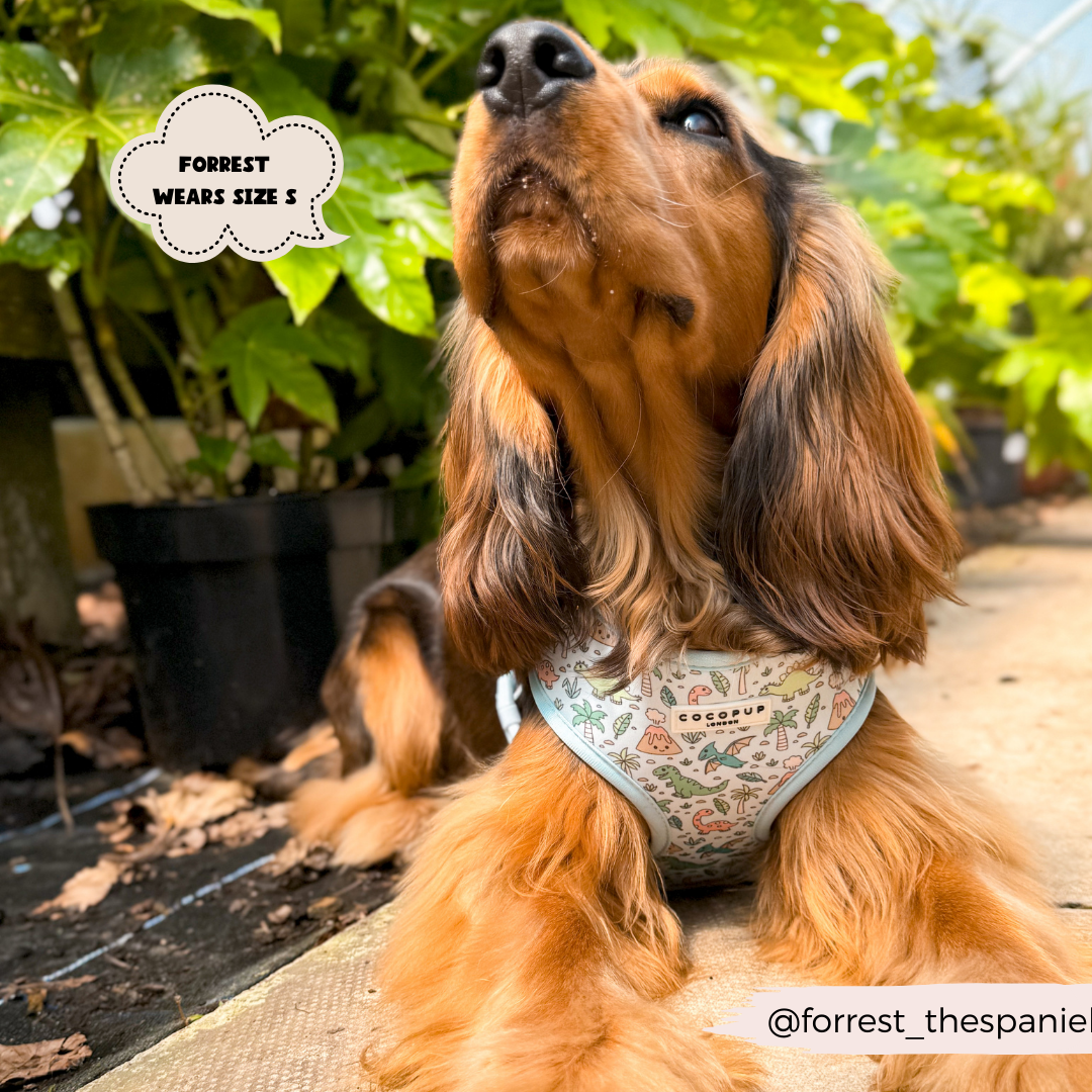 Dinopaws Adjustable Neck Dog Harness
