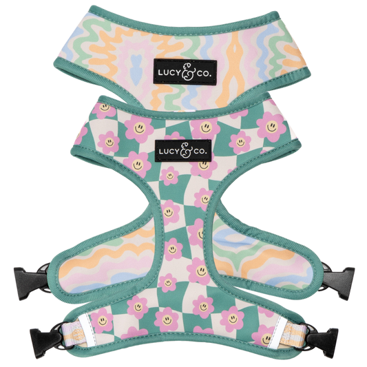 Just Chill Reversible Dog Harness