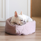 Taart Dog Bed - Assorted Colors