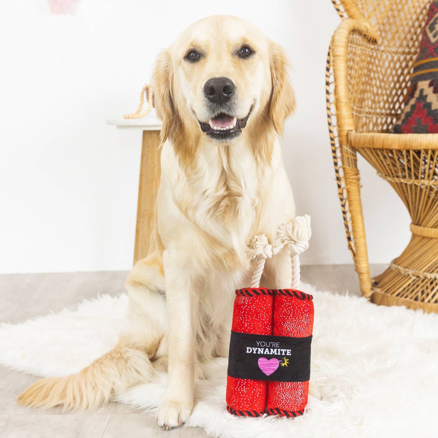 You're Dynamite Plush Dog Toy