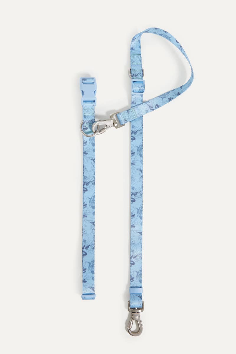 Bridgerton x maxbone Walk Set for Dogs