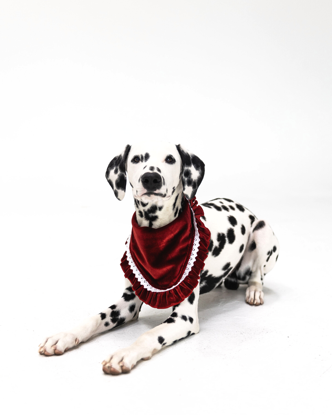 North Pole Dog Bandana
