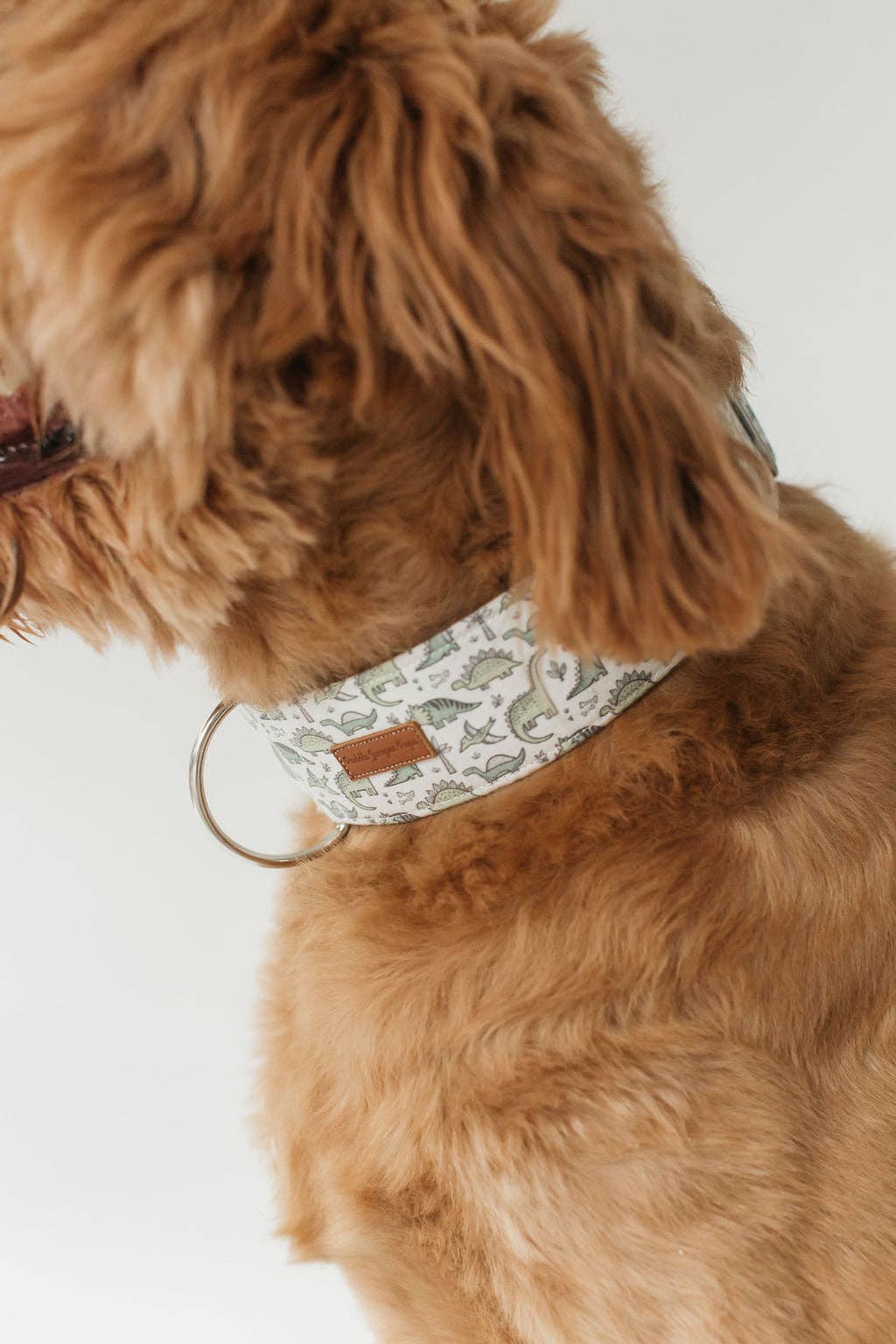 Jude Dog Collar