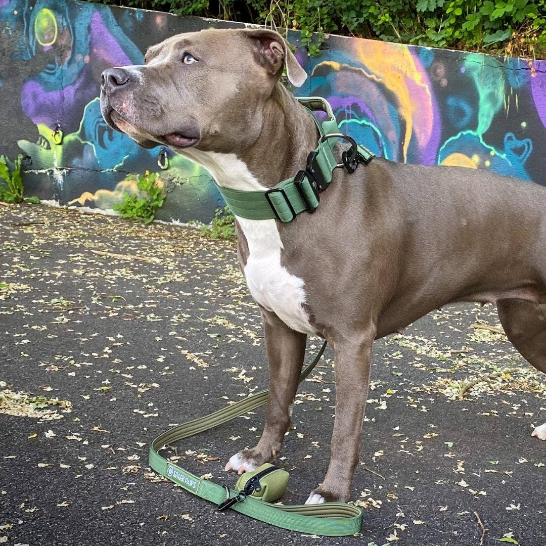 Tactical Dog Collar - Army Green