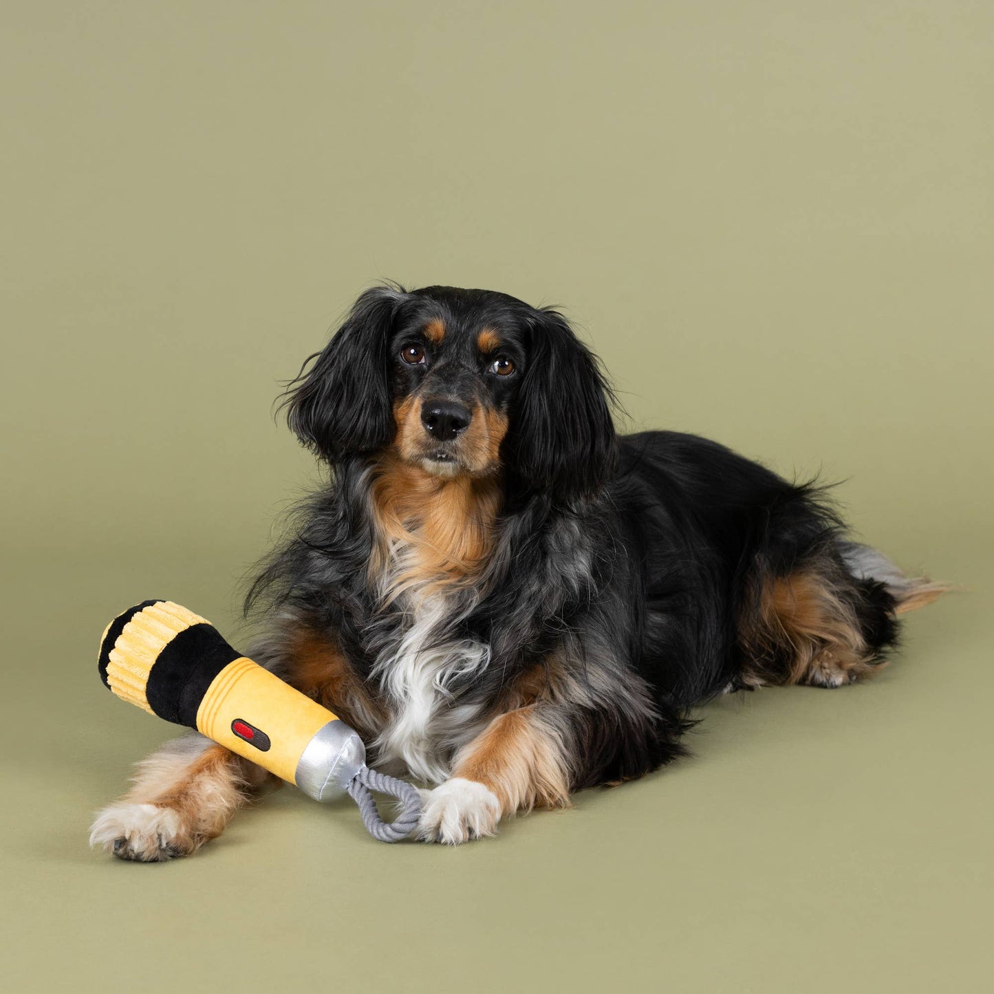 I Need Some Light Plush Dog Toy