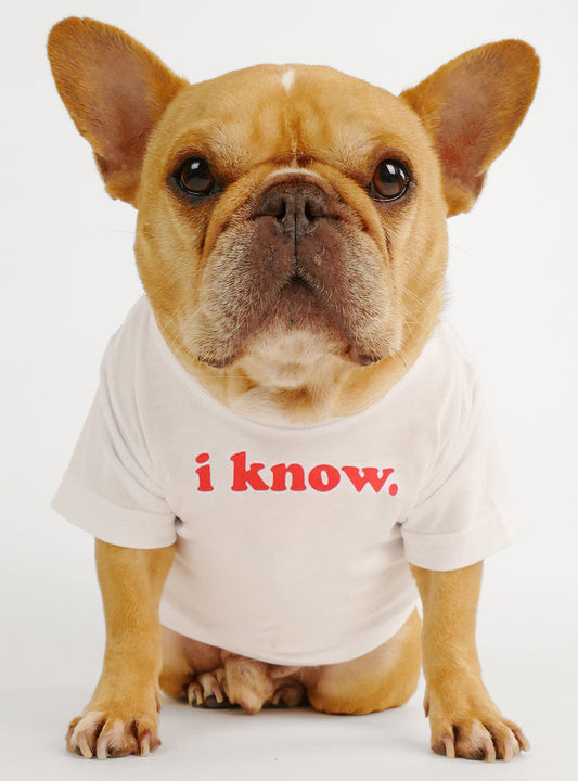 I Know Dog Tee