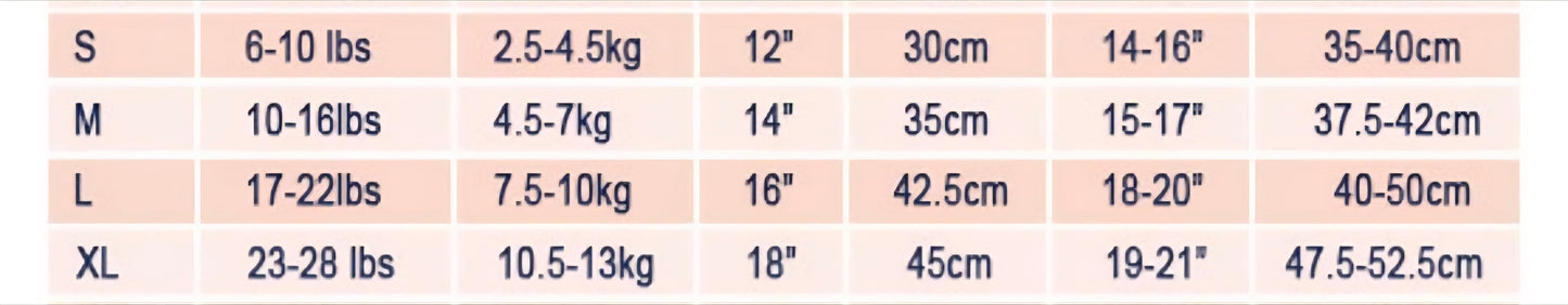 Cute Shirt & Skirt Outfit