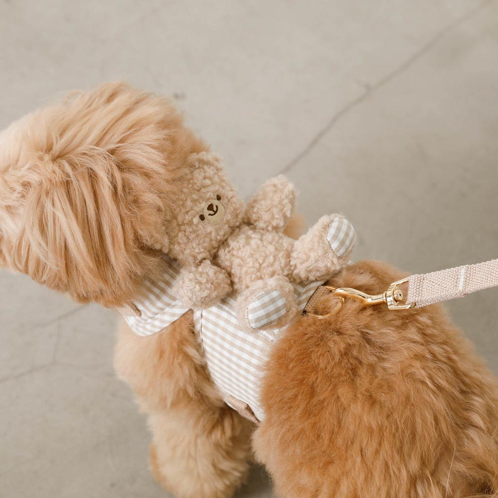 Kuma Gingham Harness + Lead Set