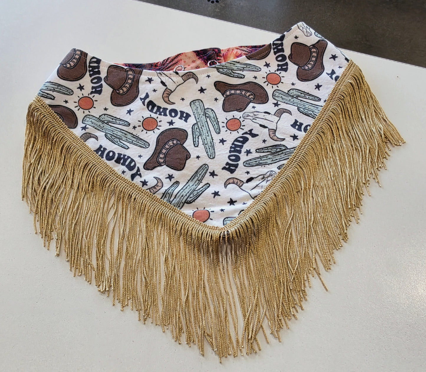 Desert Howdy with Fringe Trim Reversible Dog Bandana