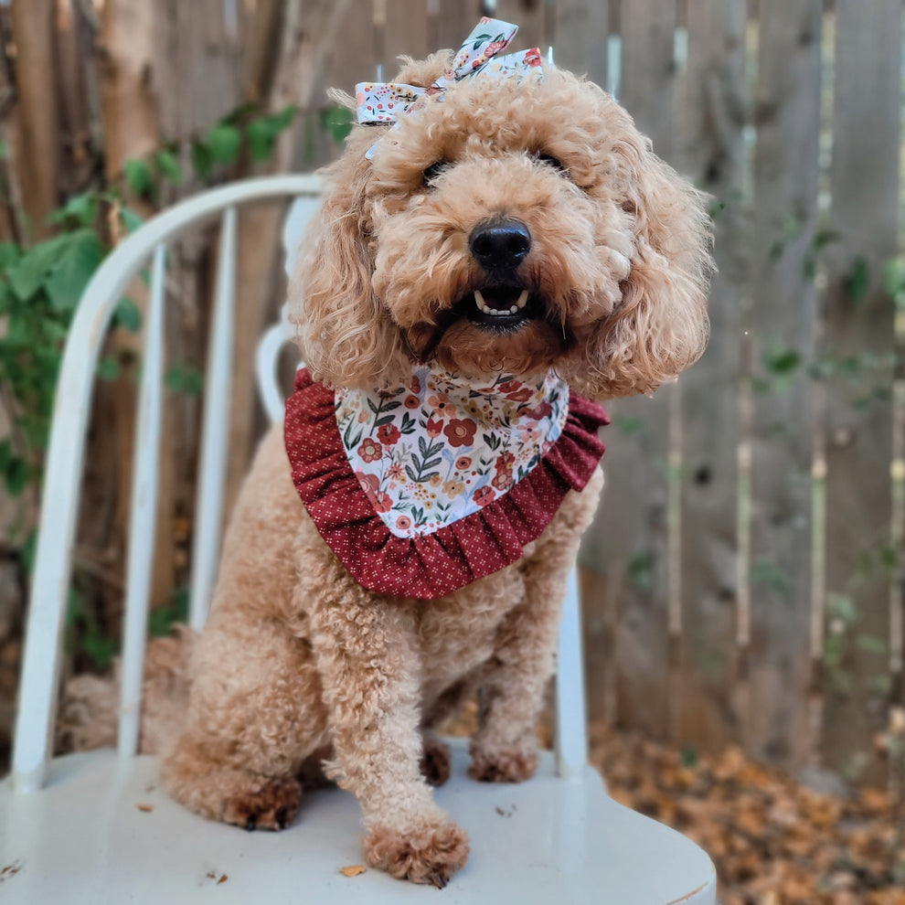 Cinnamon Floral Dog Bandana With Ruffle Trim