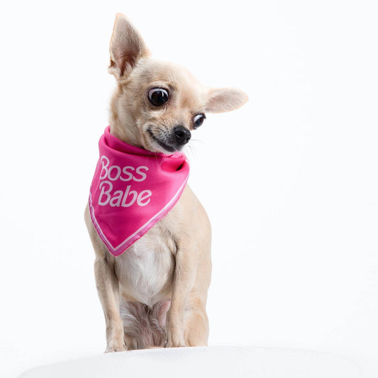 Bandana para perro Boss Babe de Moshiqa