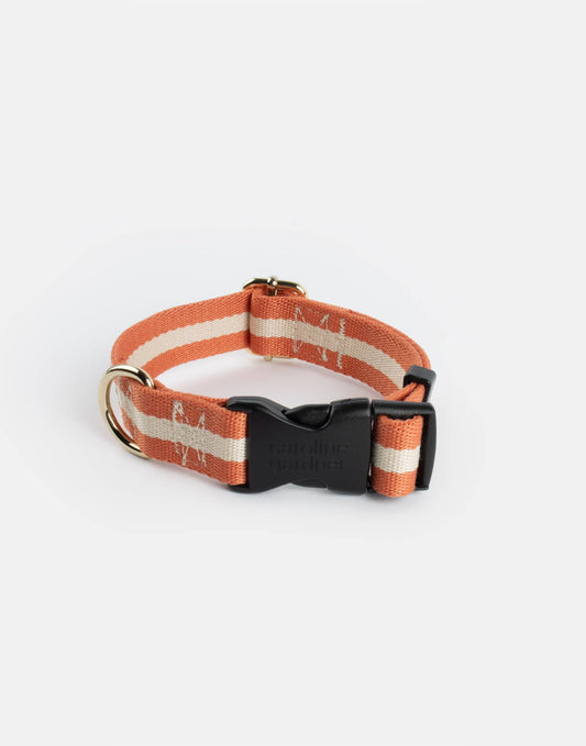 Orange/Cream Stripe Dog Collar
