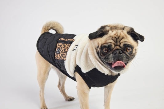 Loki Dog Jacket