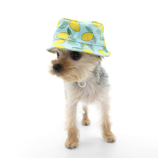 Dog Bucket Hat Lemon Blue
