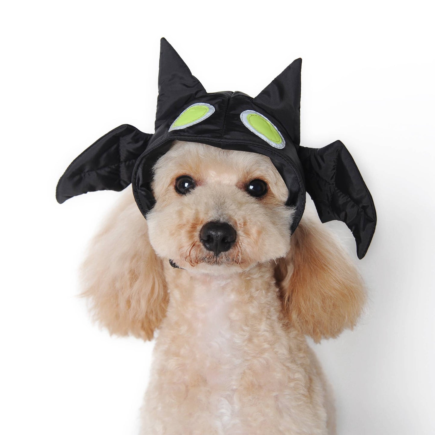 Bat Hat Costume