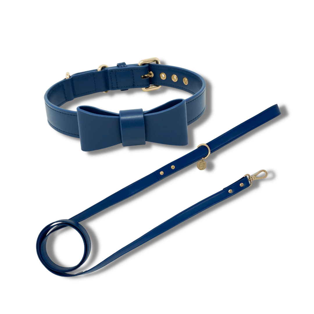 Conjunto de collar y correa para perros Signature - Azul marino