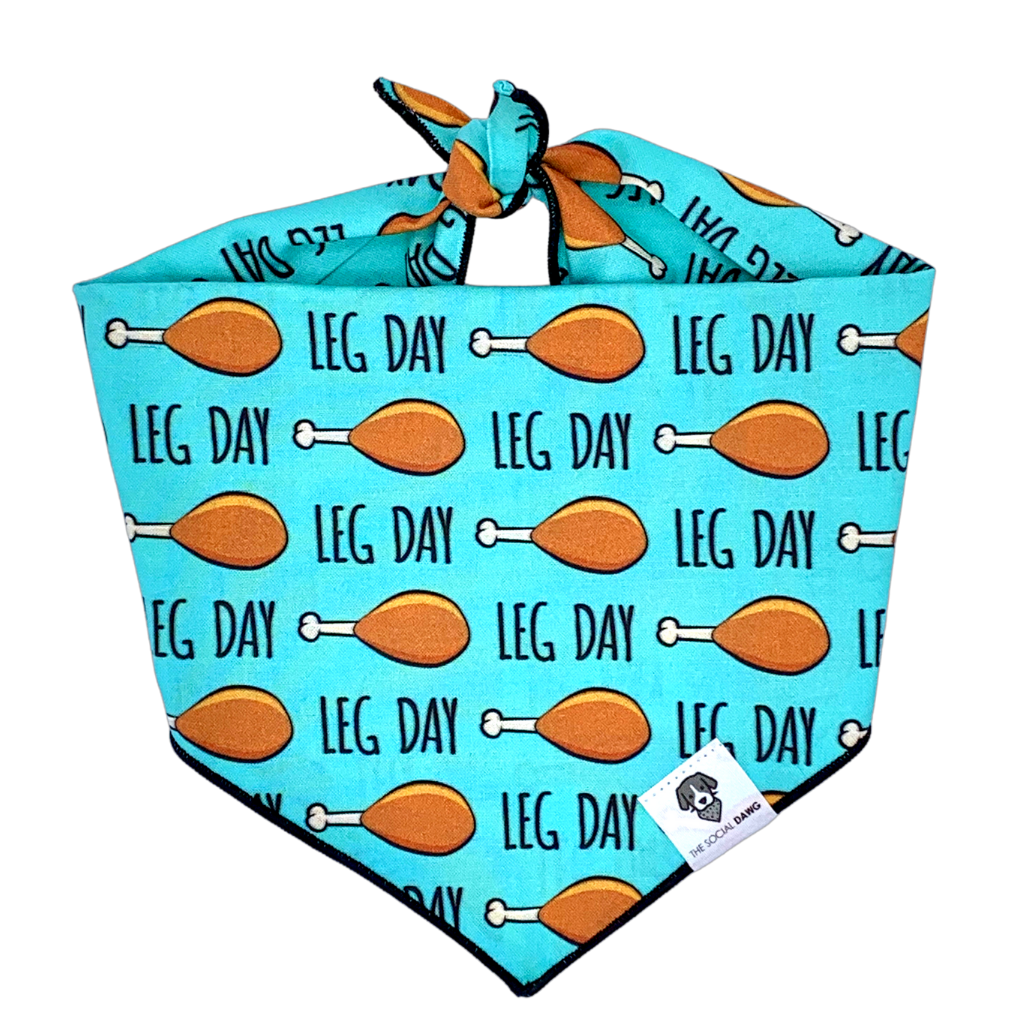 Leg Day Tie-On Dog Bandana