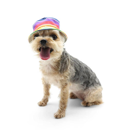Dog Bucket Hat Rainbow