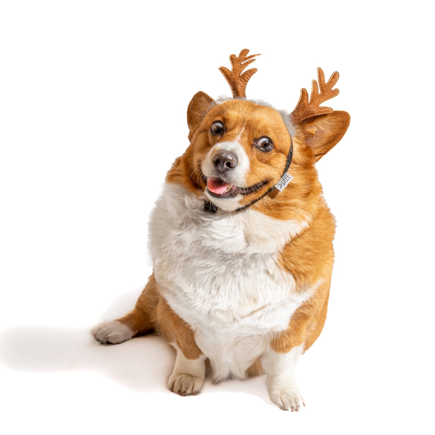 Midlee Furry Antlers Headband Dog Costume