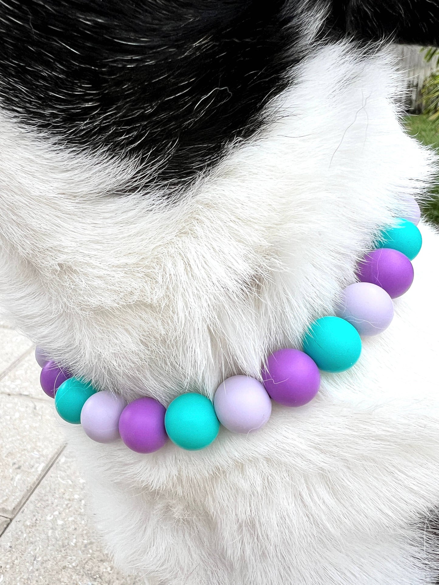 Collar de sirena para mascotas