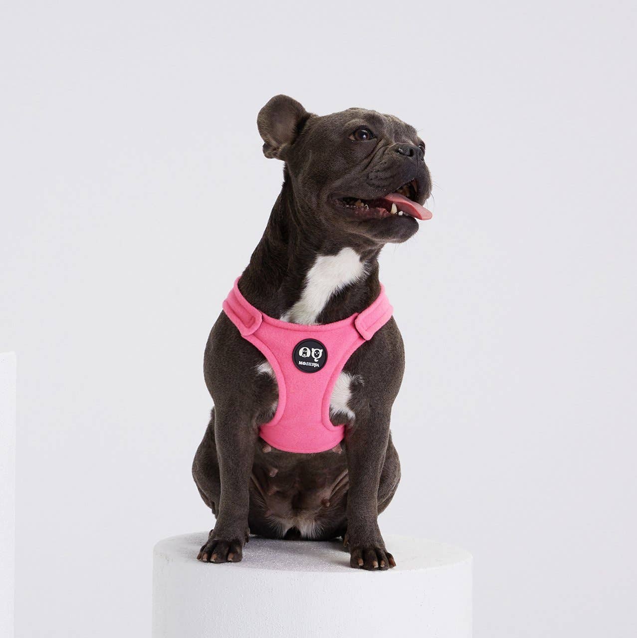 Arnés Bonbon de Moshiqa