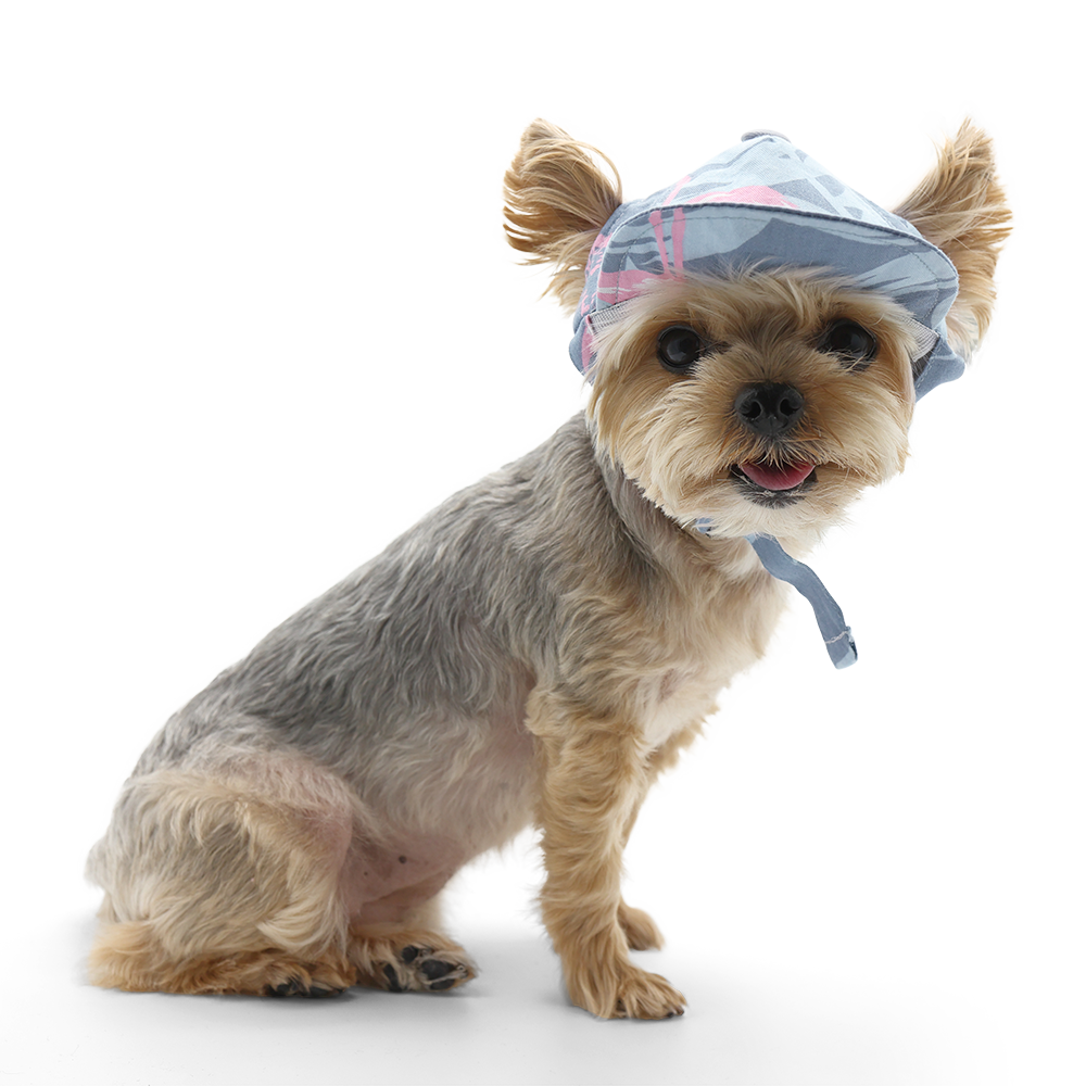 Flamingo Dog Hat