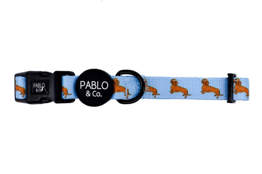Collar para perro salchicha
