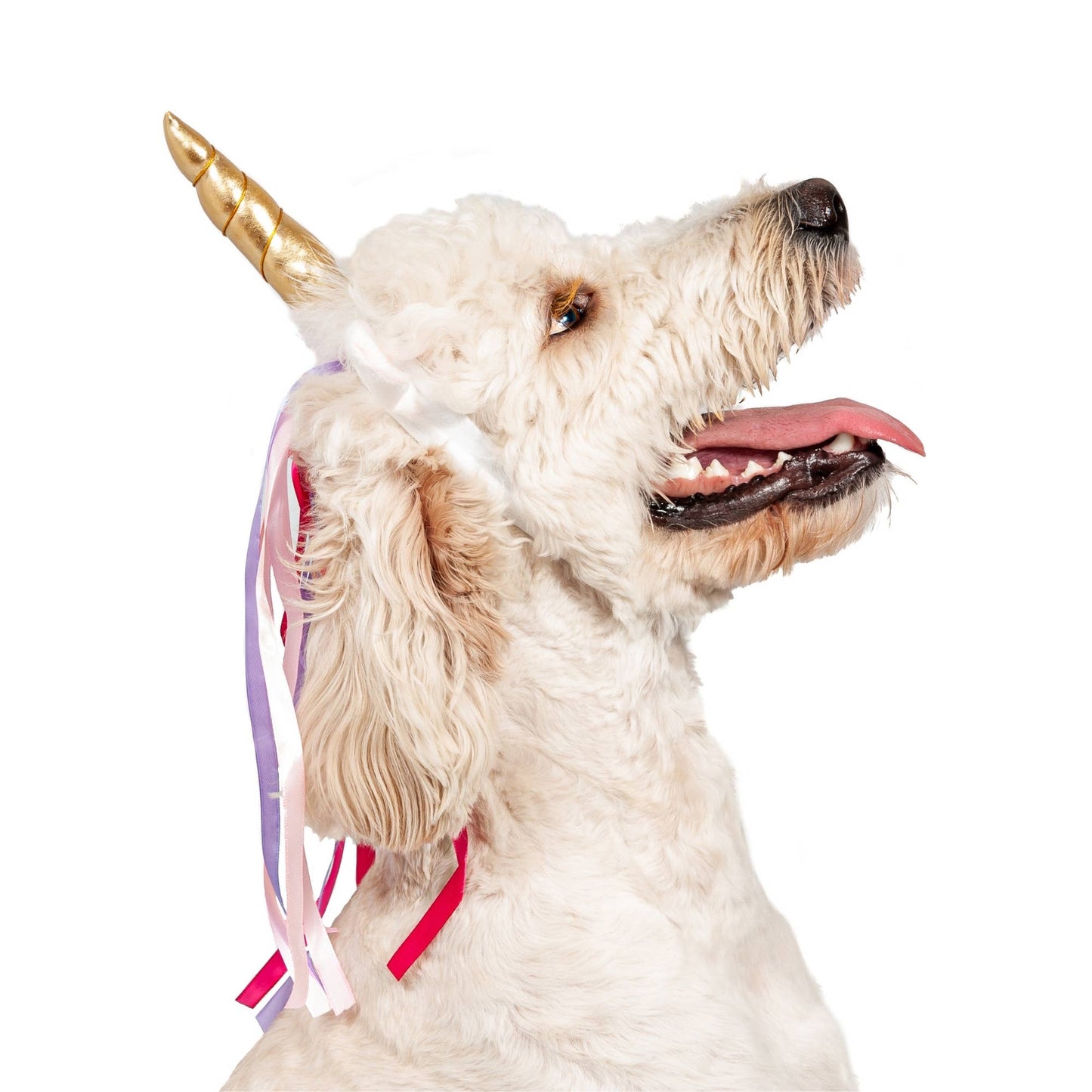 Disfraz de Halloween con diadema de unicornio para perro de Midlee