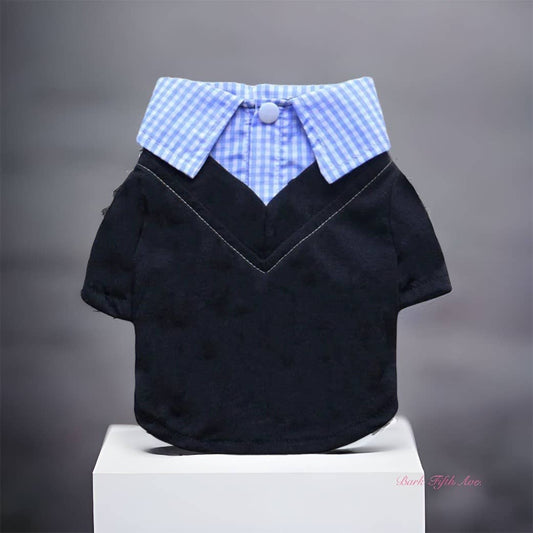 Camisa para perro con cuello Dapper Boy