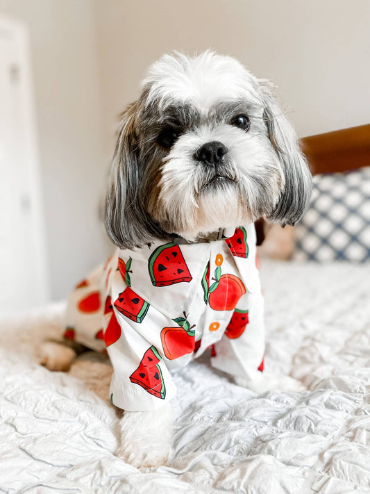 Tutti Frutti Watermelon Summer Dog Shirt
