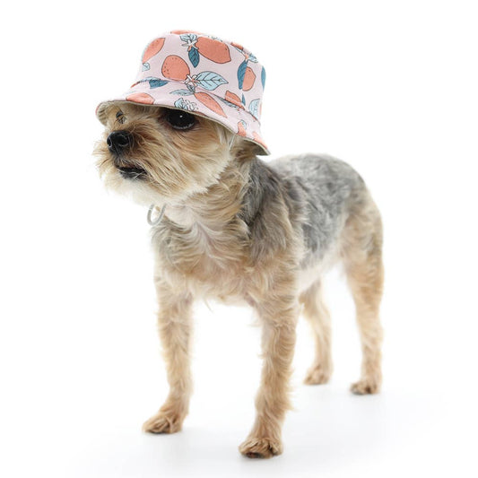 Dog Bucket Hat Lemon Pink