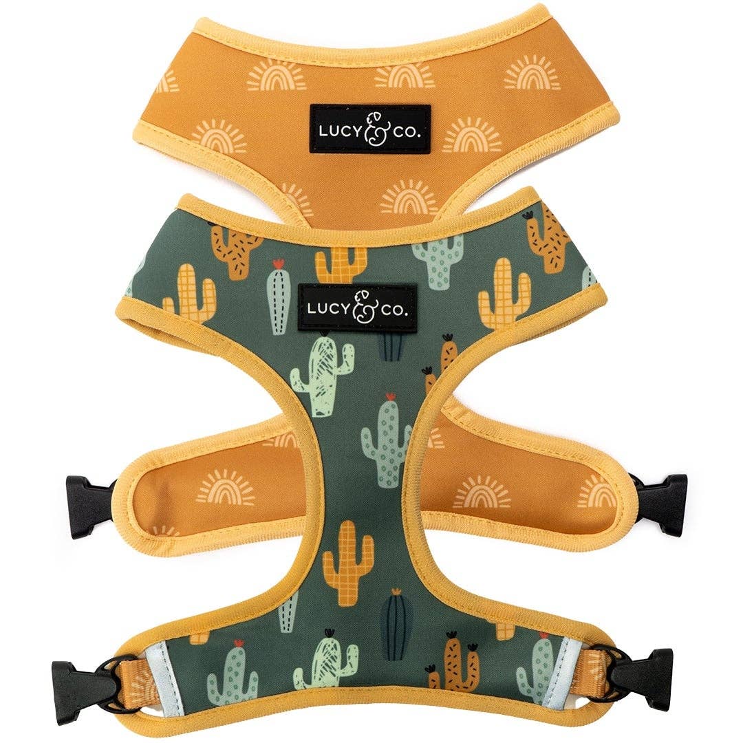 The Looking Sharp Dog Harness