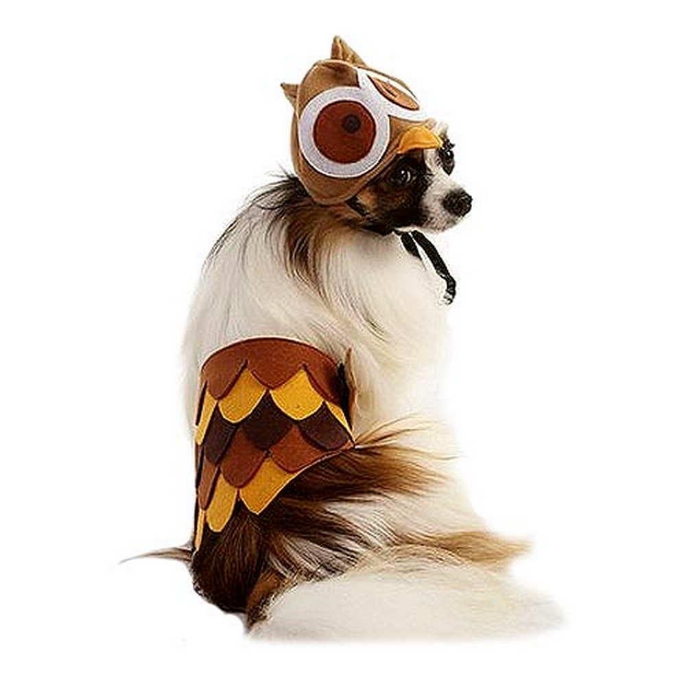 Fashion Pet Halloween Costume Owl