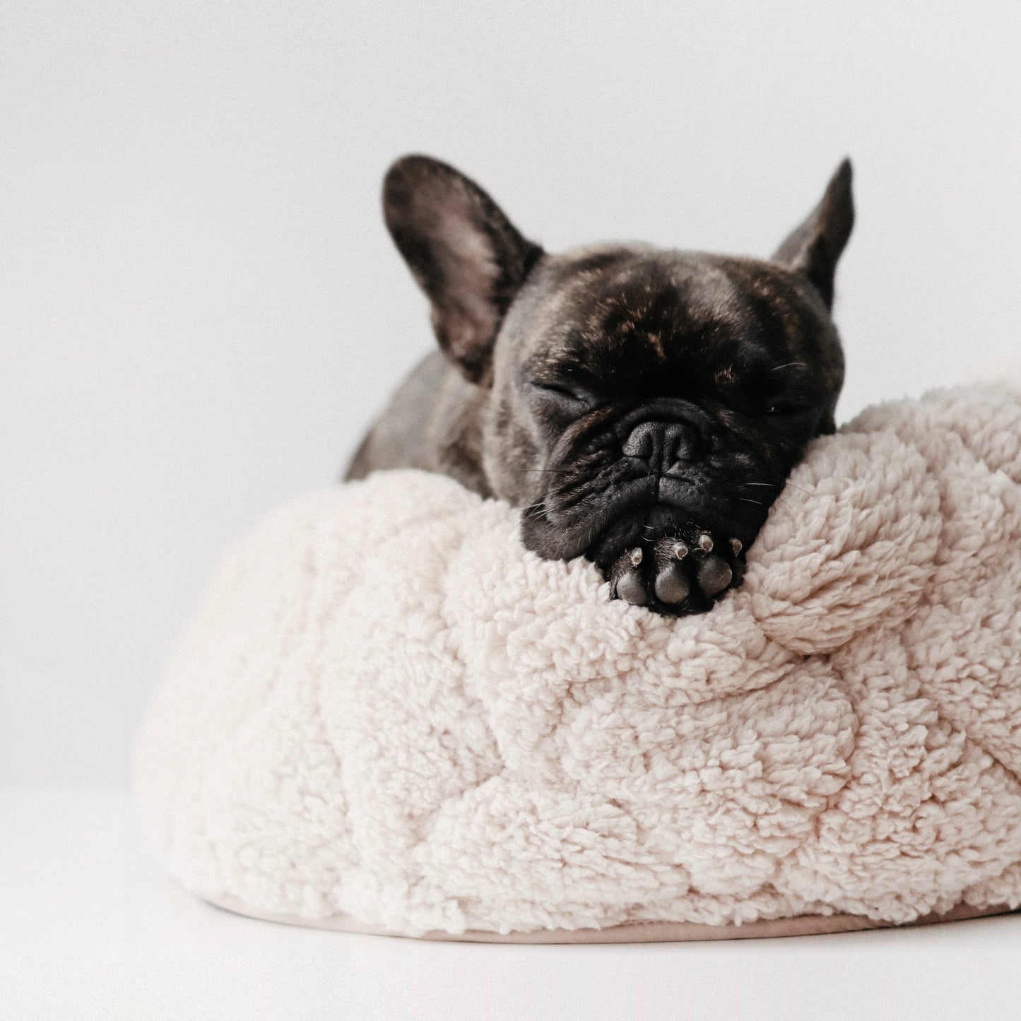 Taart Dog Bed - Assorted Colors