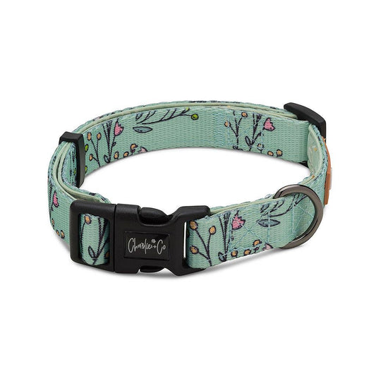 ¿Eres un collar para perros Flo-REAL?
