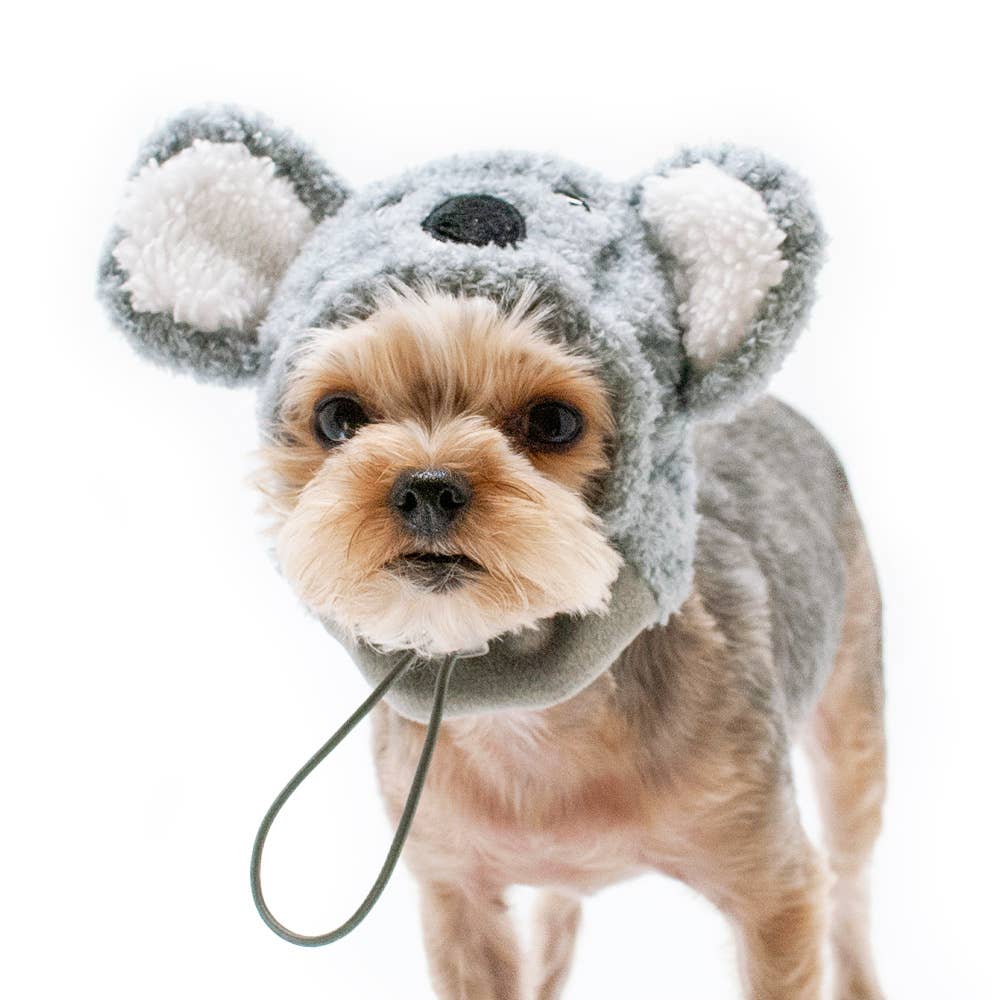 Sombrero de koala