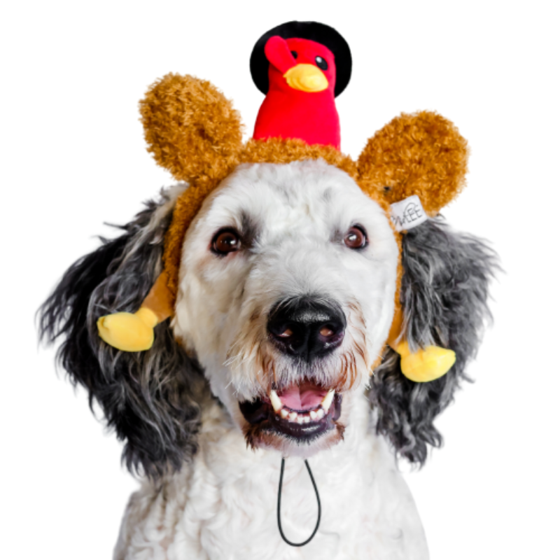 Midlee Plush Pilgrim Turkey Thanksgiving Headband