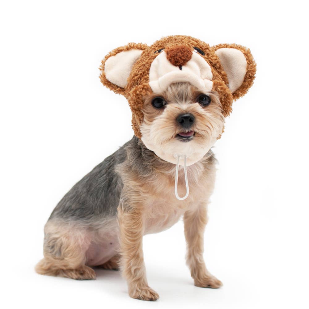 Sombrero de osito de peluche