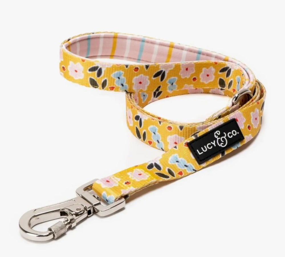 The Little Lamb Leash
