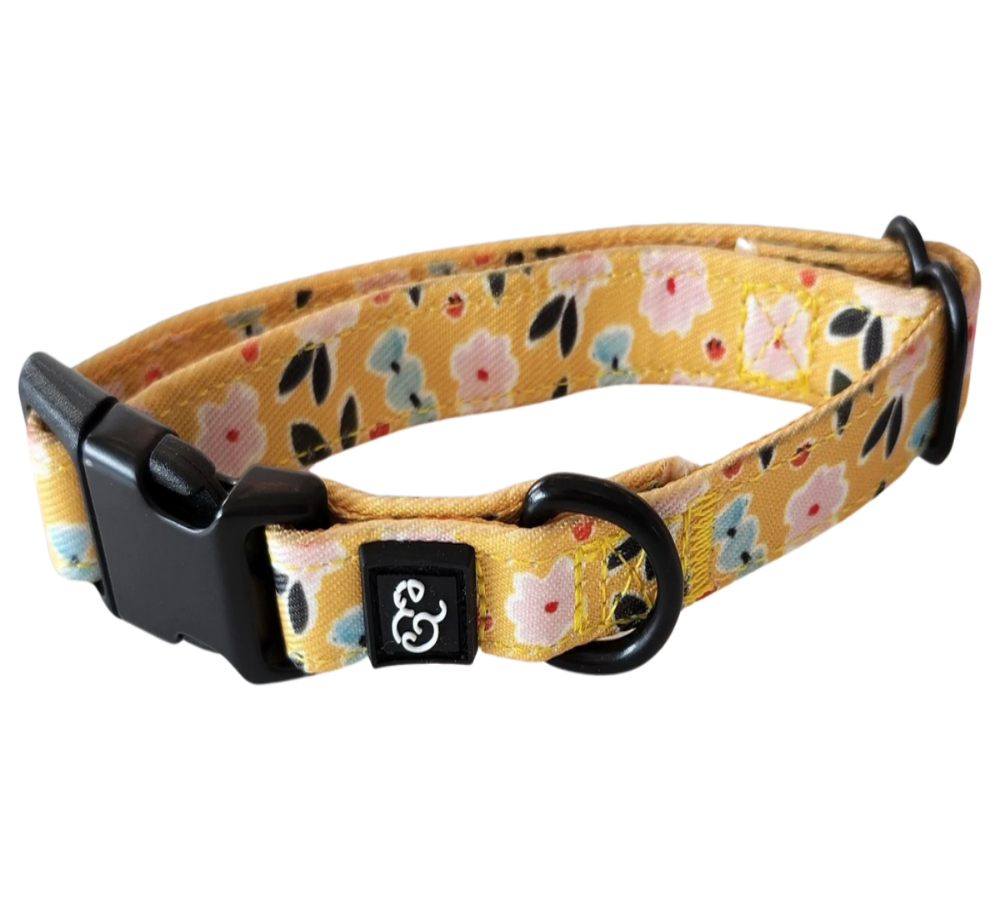 El collar del corderito