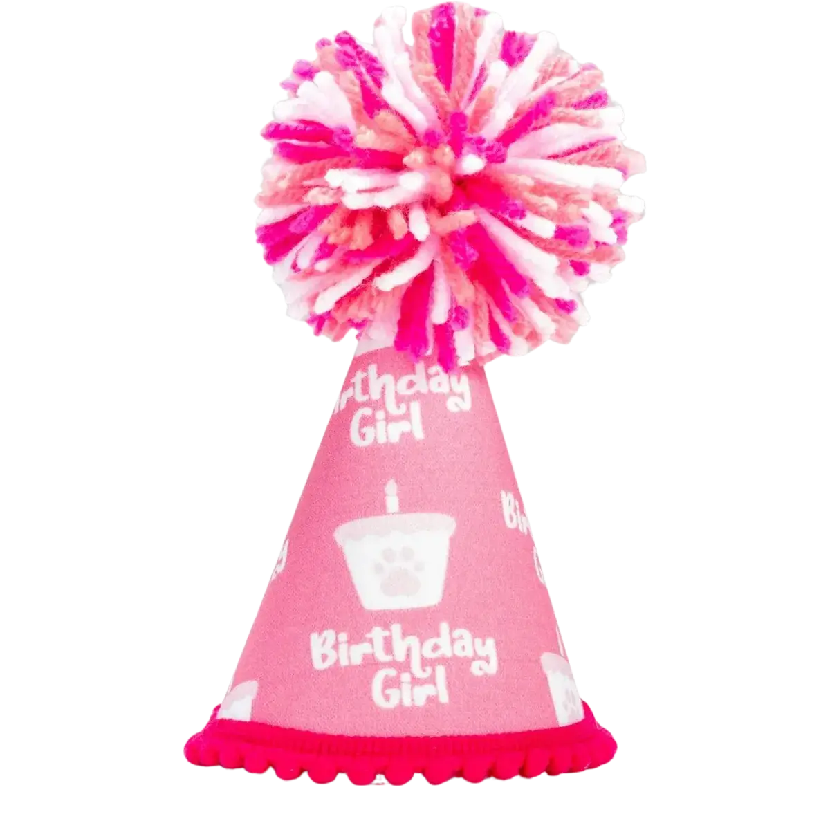 Birthday Girl Pink Pom Party Hat