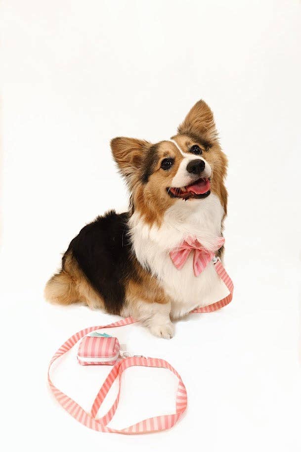 Pink on Pink Striped Leash