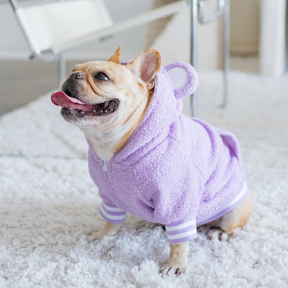 Frenchie Dog Hoodie - Purple Teddy