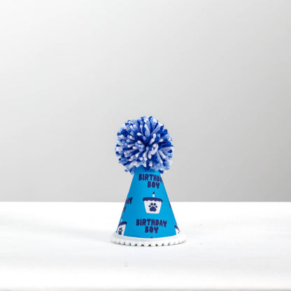 Birthday Boy Blue Ink Party Hat 