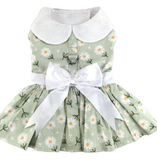 Mint Green Daisy Dog Dress with Matching Leash