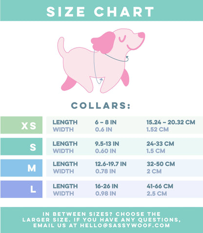 Dog Collar - Care Bears™ Care-a-Lot